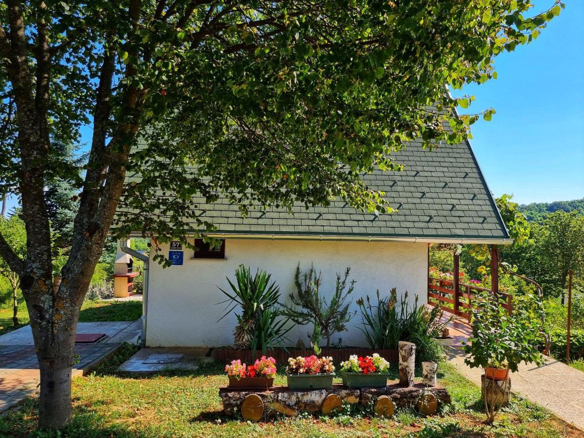 Guesthouse Mreznica- Mreznicka Idila Resort Galovic-Selo Esterno foto
