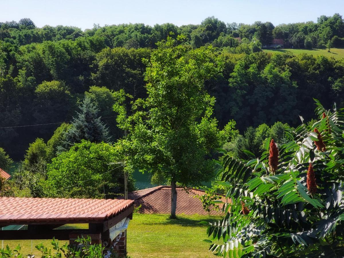 Guesthouse Mreznica- Mreznicka Idila Resort Galovic-Selo Esterno foto
